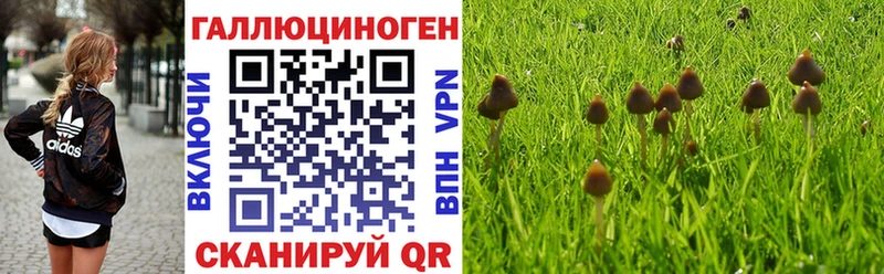 Галлюциногенные грибы прущие грибы  Лукоянов 